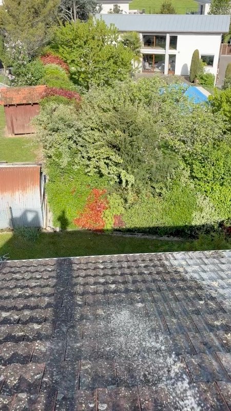 Démoussage de toiture : application d'anti-mousse sur tuiles — Hautes-Alpes